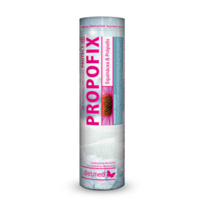 Propofix Protect 20 Pastilles 600x600